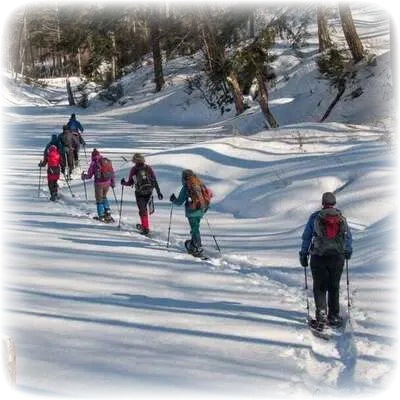 Snowshoeing